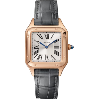 Cartier Santos Dumont