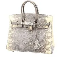 Сумка Hermès Birkin 25 см серо-бежевого цвета с изображением ящерицы
