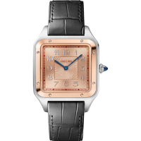 Cartier Santos Dumont