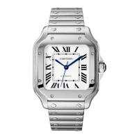 Cartier Santos De Cartier