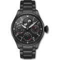 Pilot Pilot