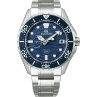 Grand Seiko Evolution 9