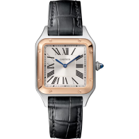 Cartier Santos Dumont