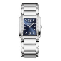 Patek Philippe Twenty~4 Manchette