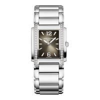 Patek Philippe Twenty~4 Manchette