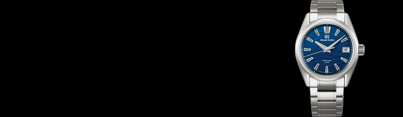 Evolution 9